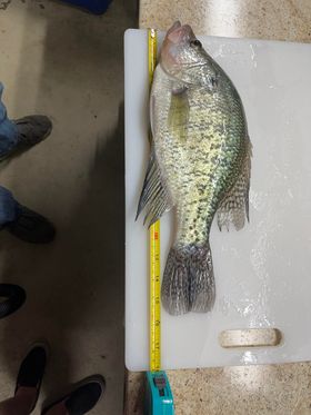 Fishing Report 5/20/22