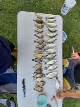 Fishing Report 7/28/23