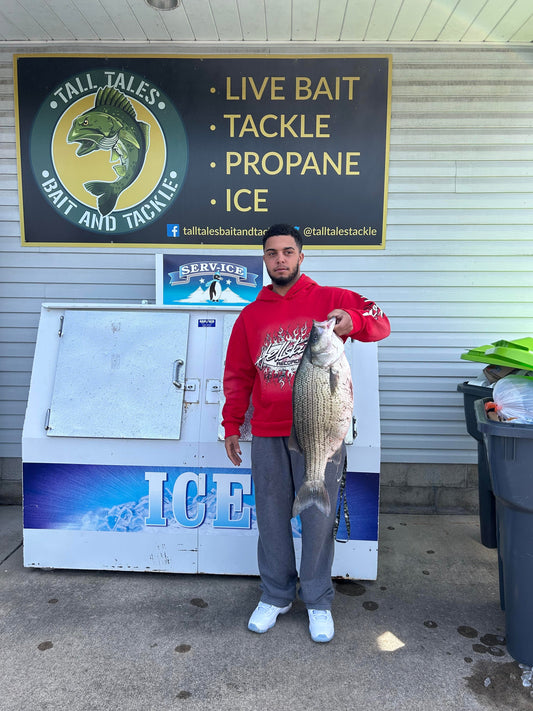 Fishing Report 4/11/2025