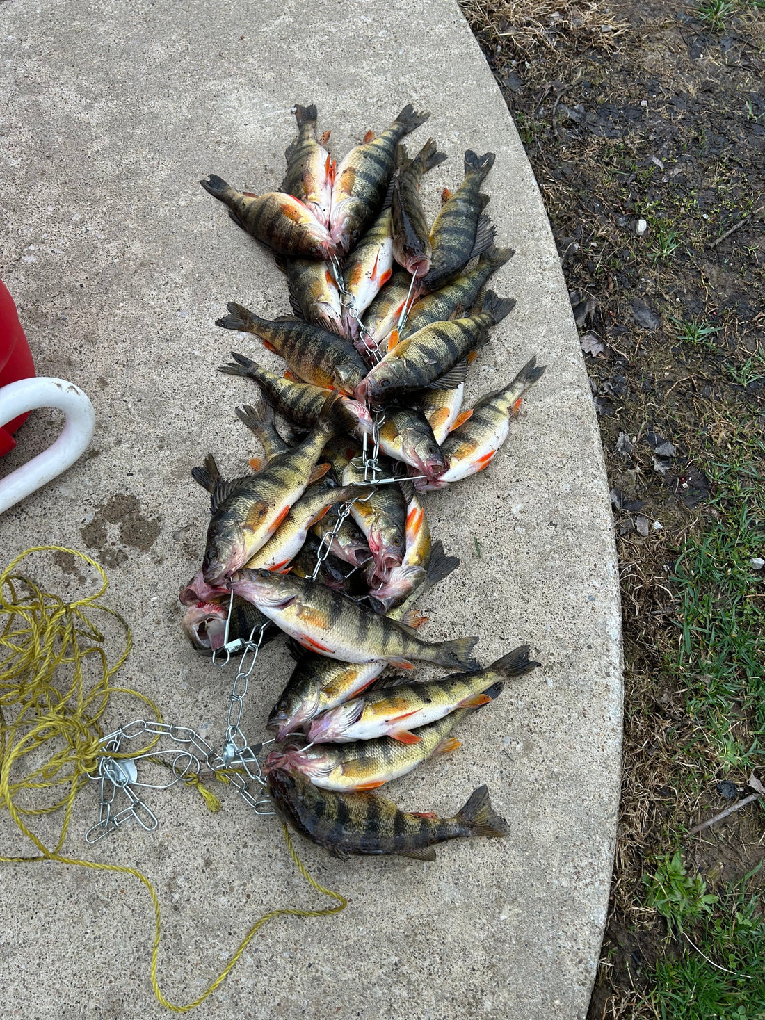 Fishing Report 4/4/2025