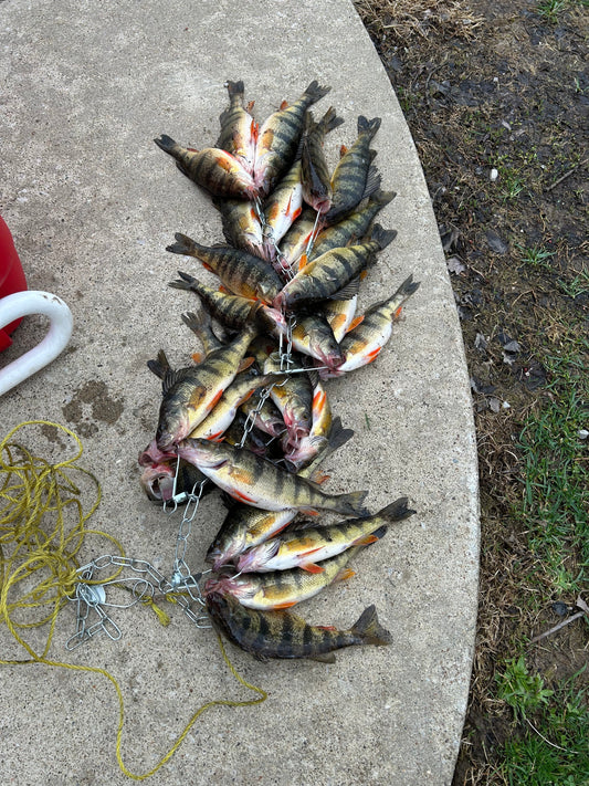 Fishing Report 4/4/2025