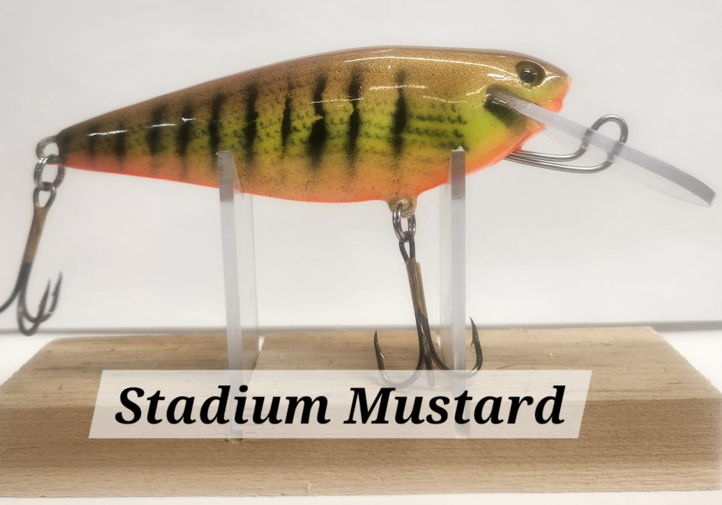 Muskie Train Bullet Train