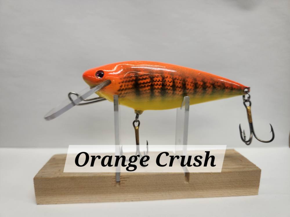 Muskie Train Bullet Train