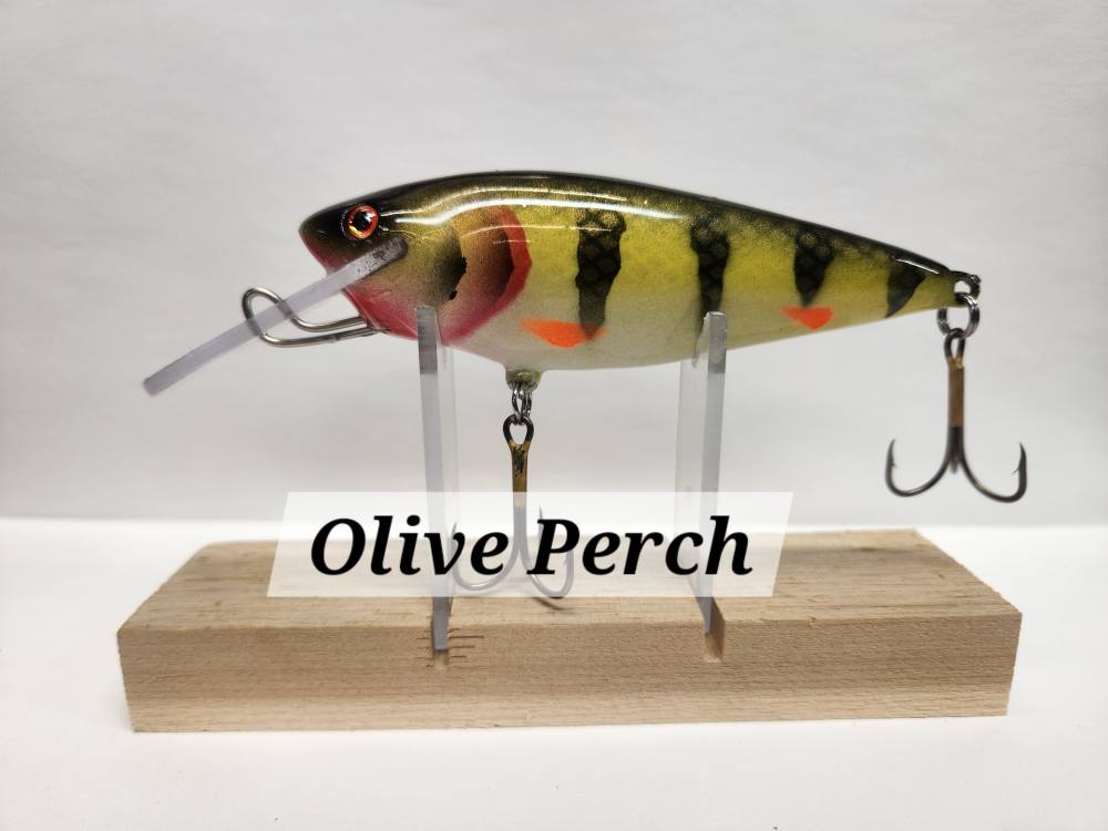 Muskie Train Bullet Train
