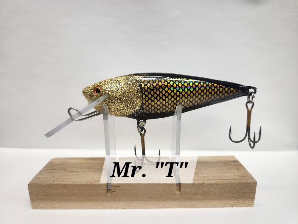 Muskie Train Bullet Train