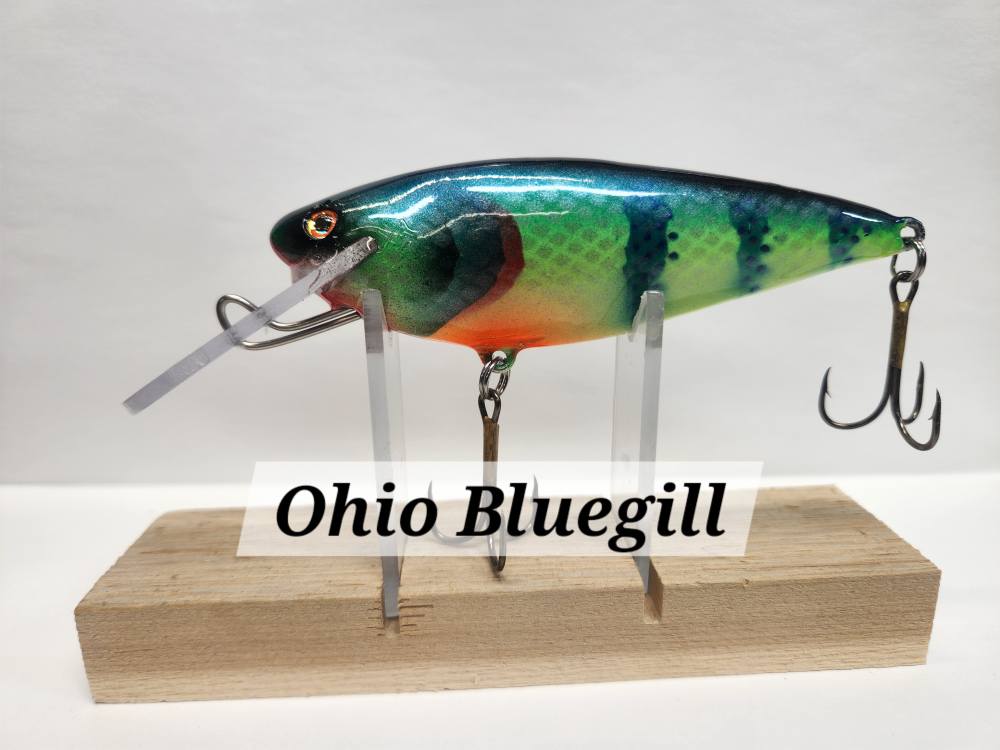 Muskie Train Bullet Train