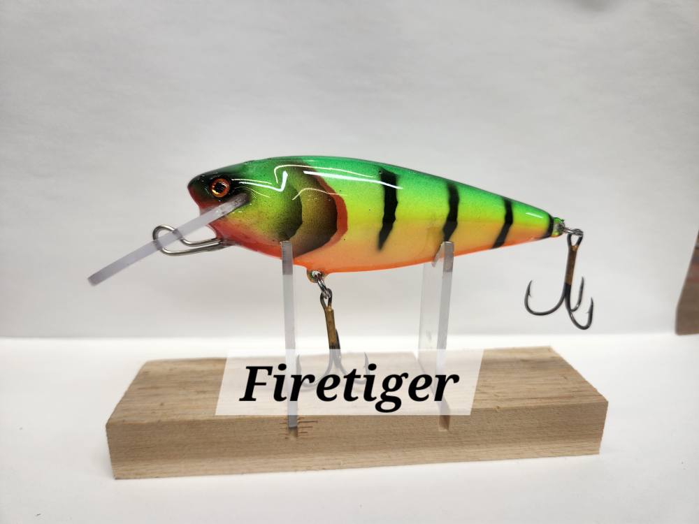 Muskie Train Bullet Train