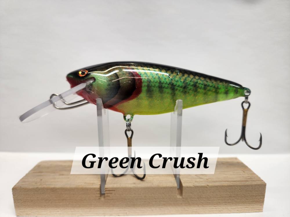 Muskie Train Bullet Train