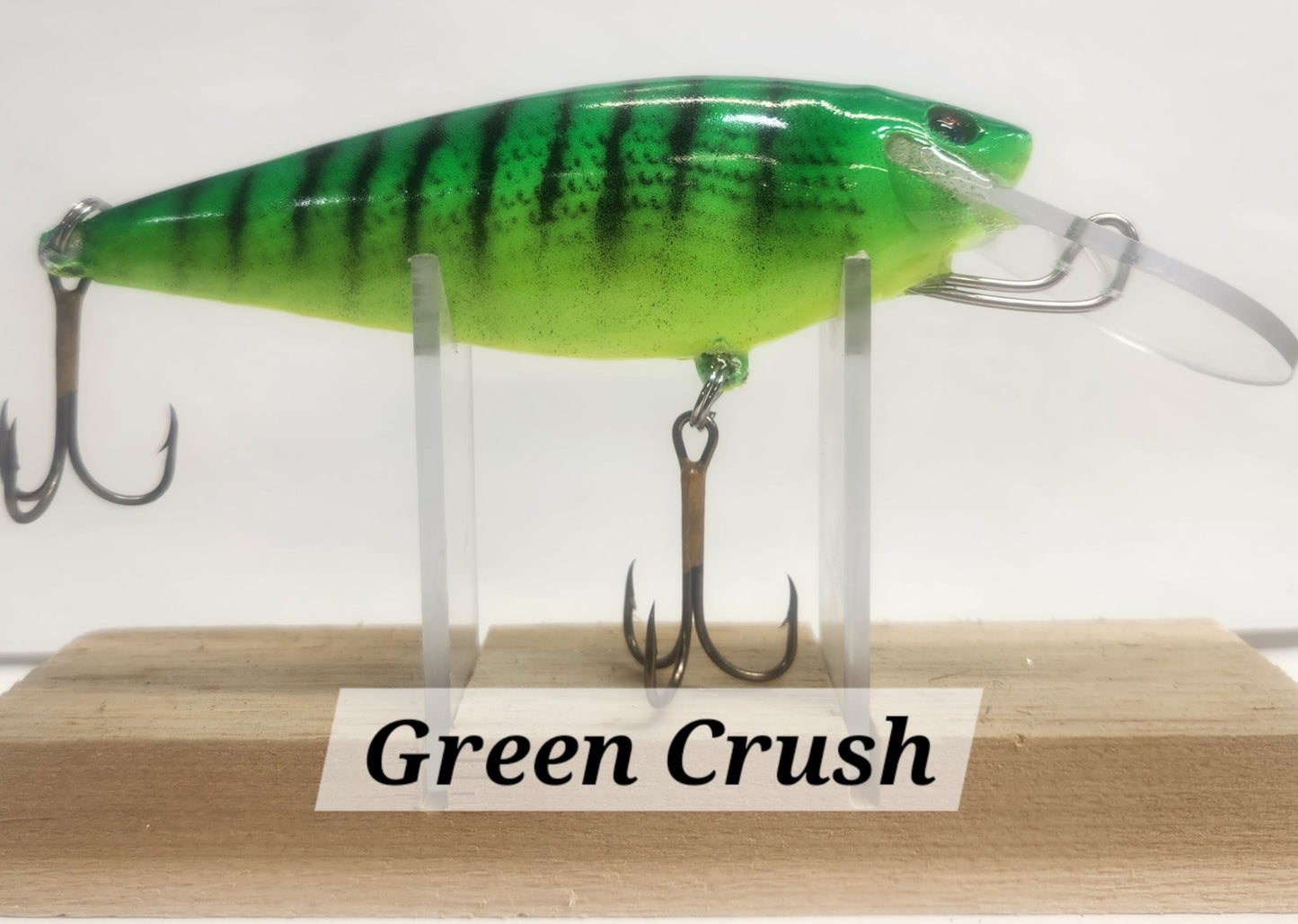 Muskie Train Bullet Train