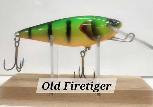 Muskie Train Bullet Train