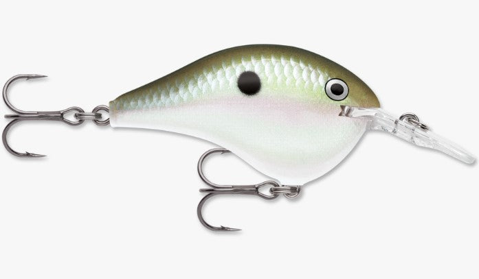 Rapala DT Series (Dives To 8')