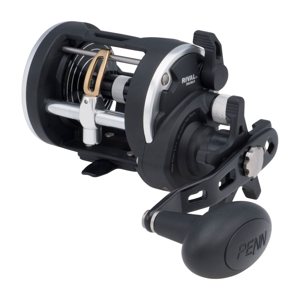 Penn Rival Level Wind Line Counter Reel – Tall Tales Bait & Tackle