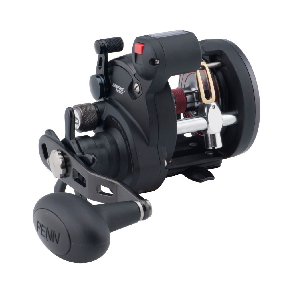 Penn Squall Level Wind Reel with Line Counter – Tall Tales Bait