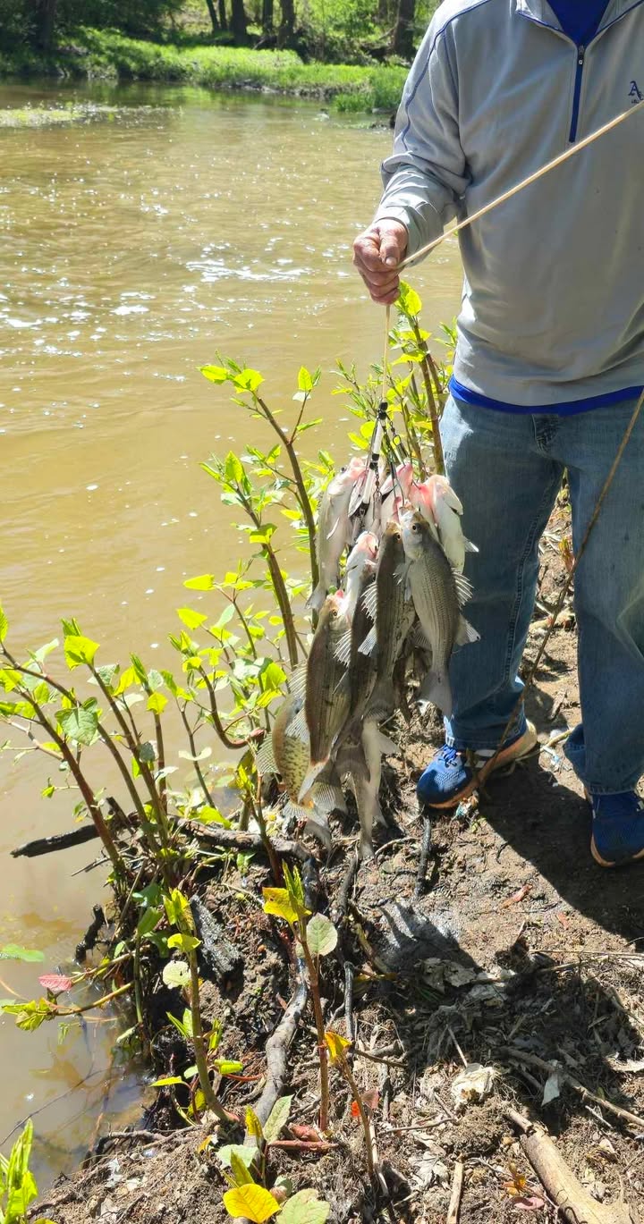Fishing Report 5/2/2025