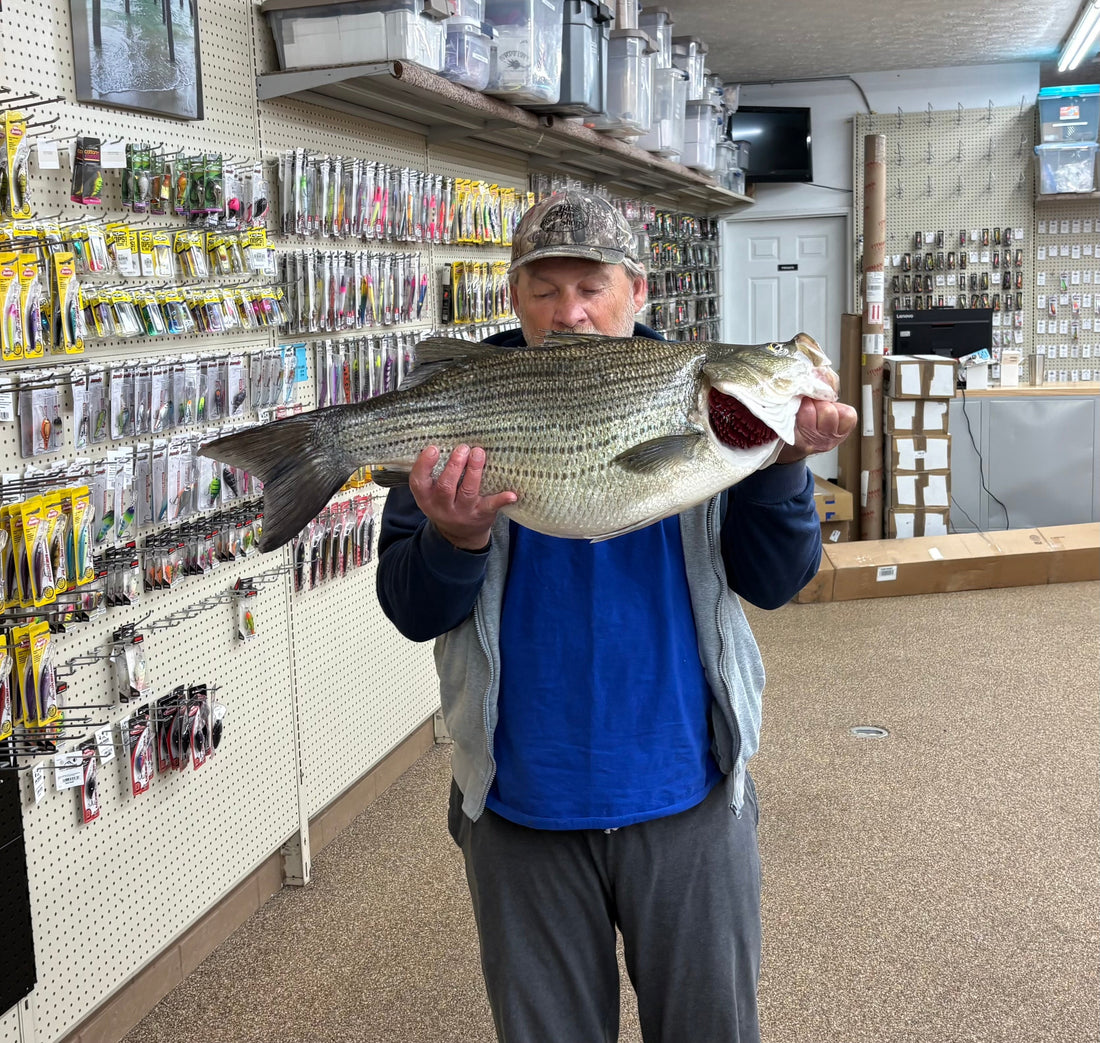 Fishing Report Week of 5/15/2026