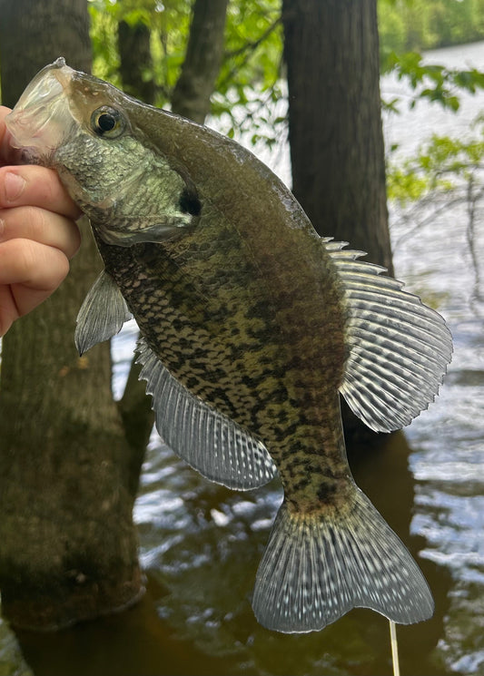 Fishing Report 5/23/2025