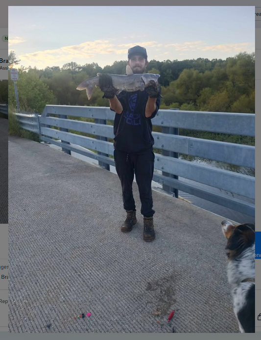 Fishing Report Week of 9/11/2026
