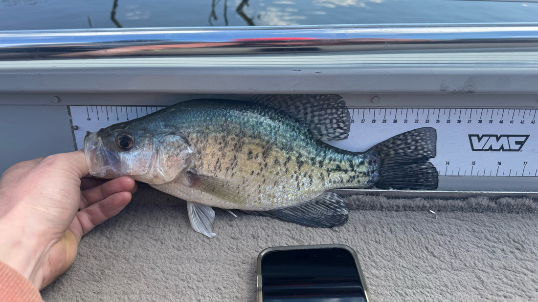 Fishing Report 5/3/2024