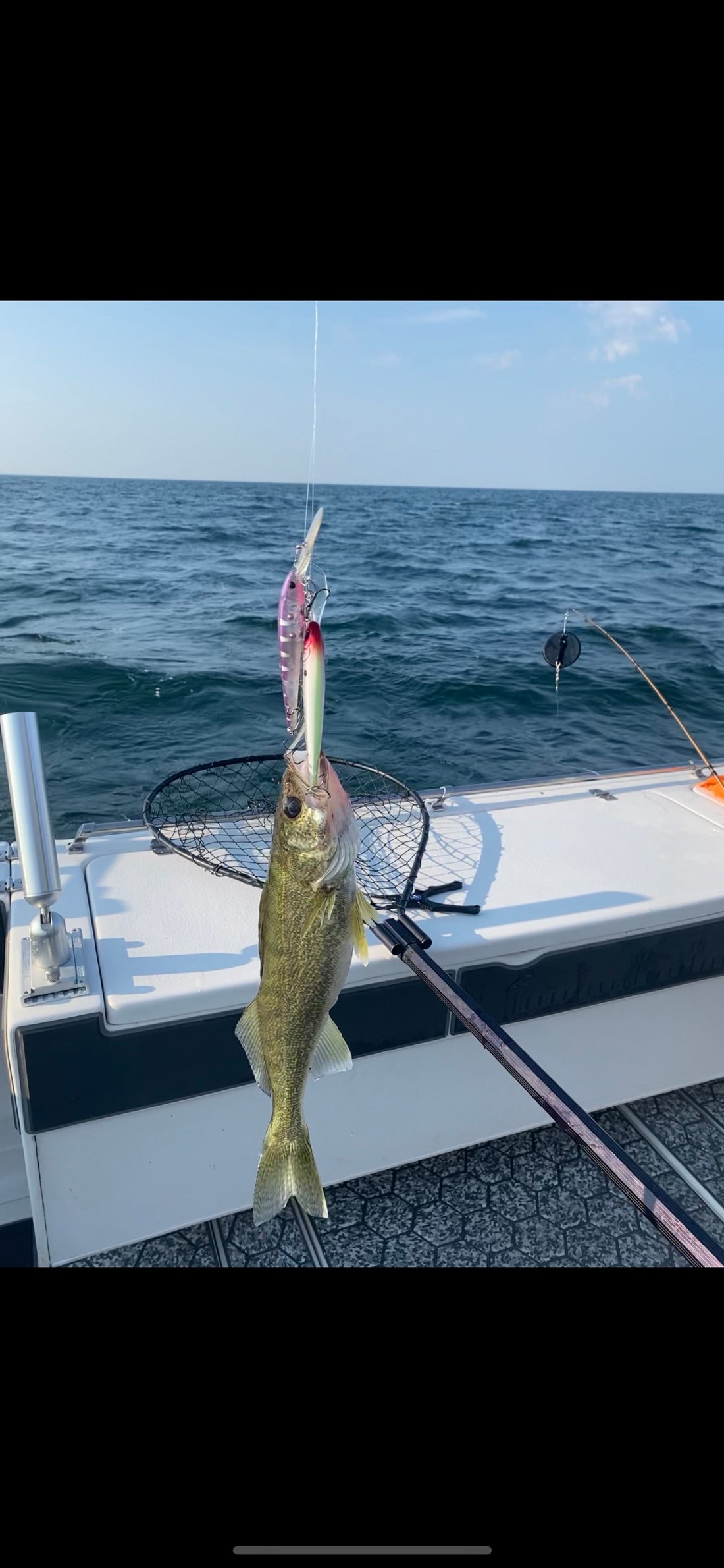 Fishing Report 7/19/2024