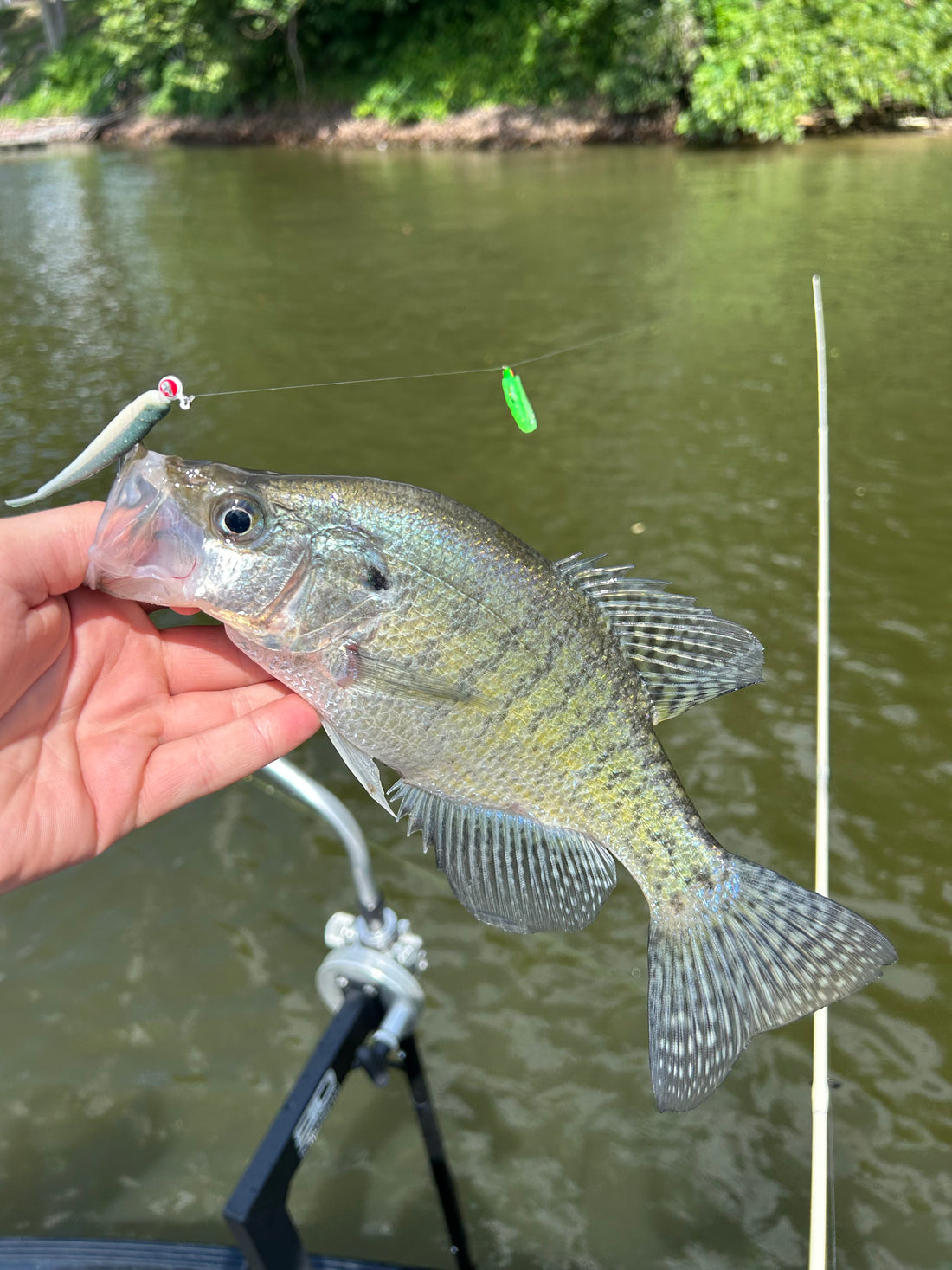 Fishing Report 7/5/2024