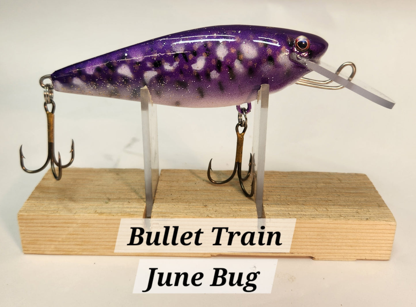 Muskie Train Bullet Train