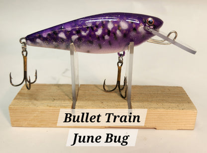 Muskie Train Bullet Train