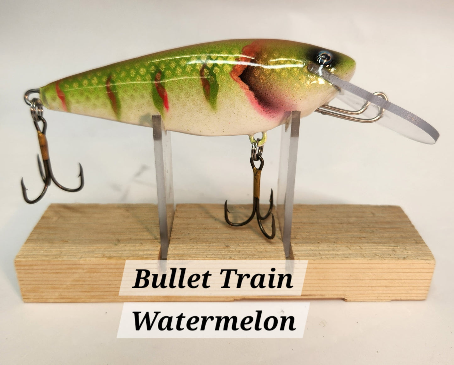 Muskie Train Bullet Train