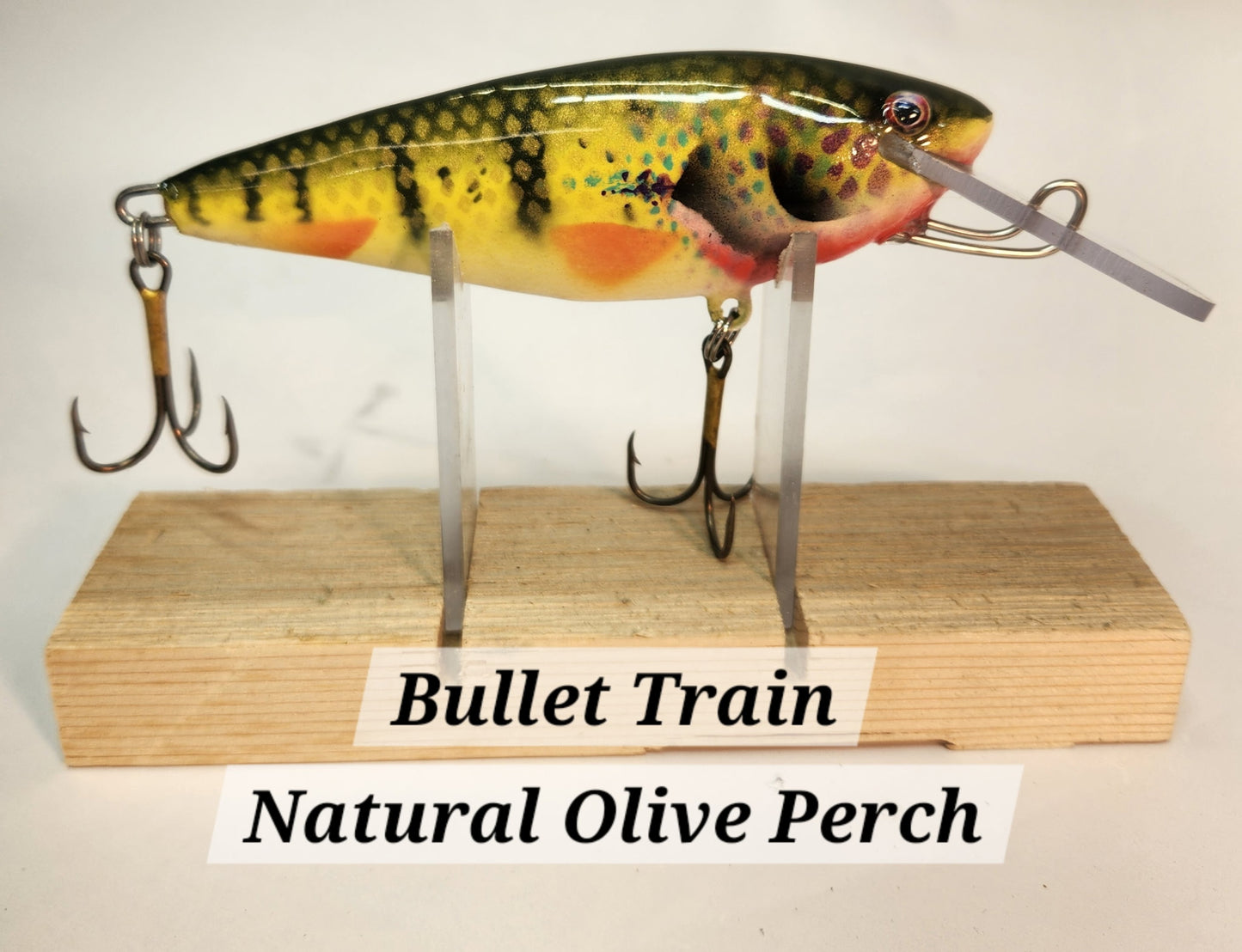 Muskie Train Bullet Train