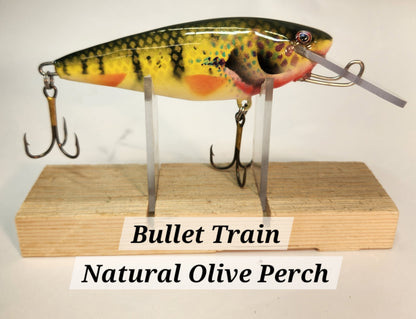 Muskie Train Bullet Train