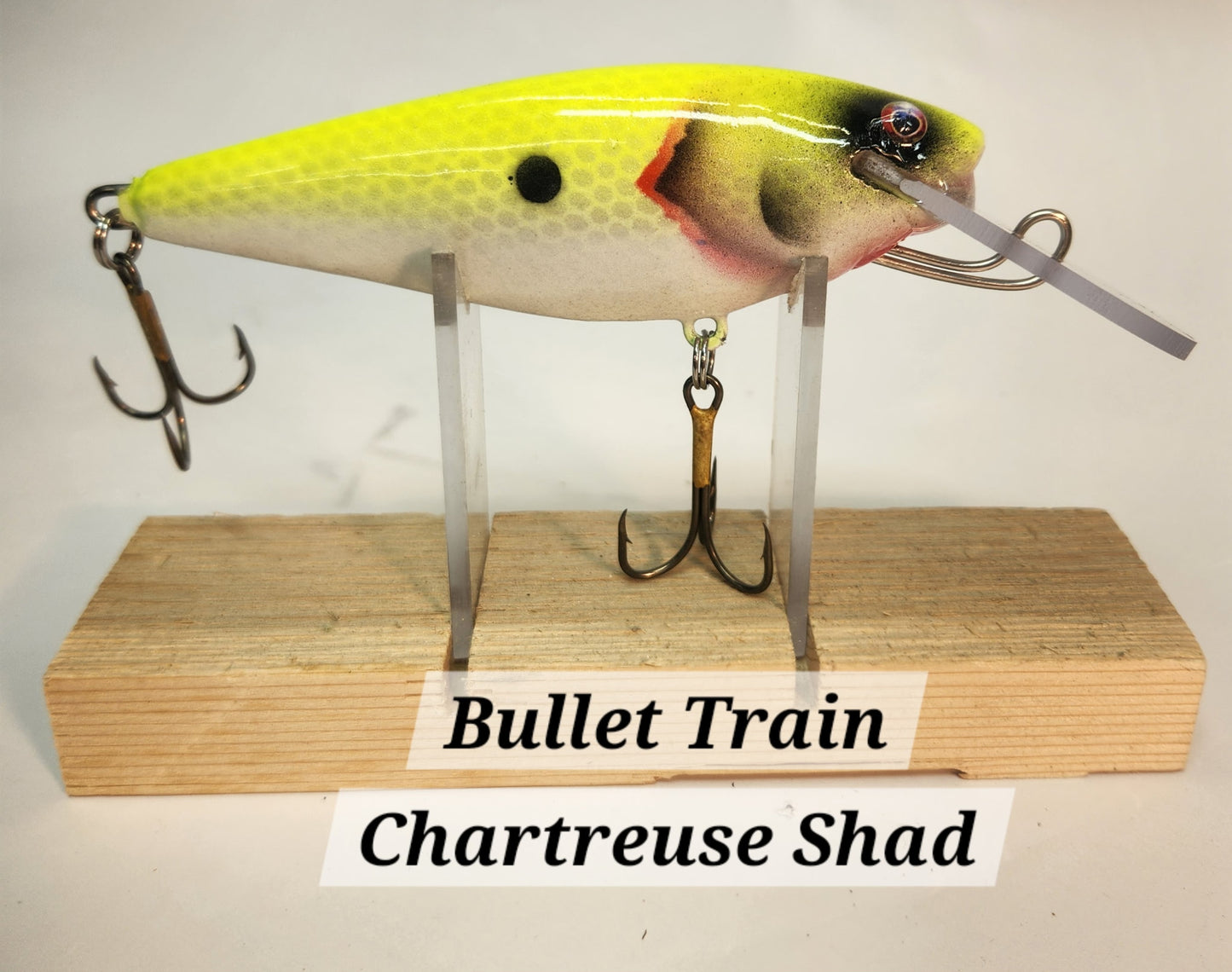 Muskie Train Bullet Train
