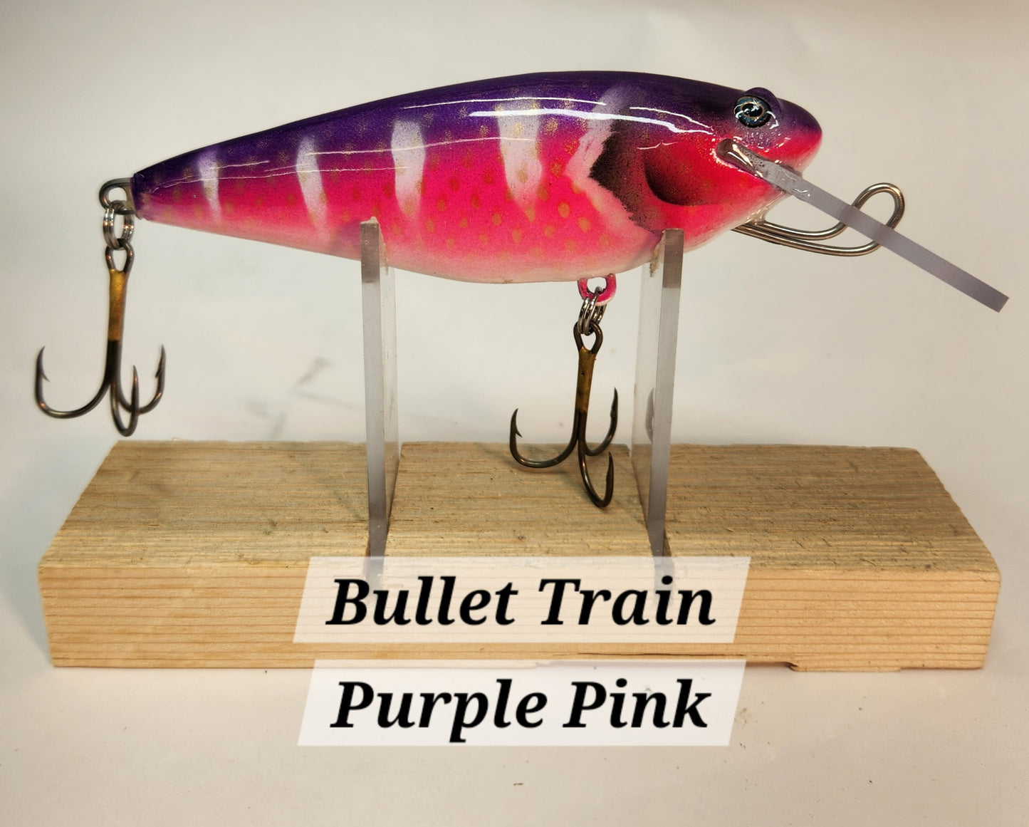 Muskie Train Bullet Train