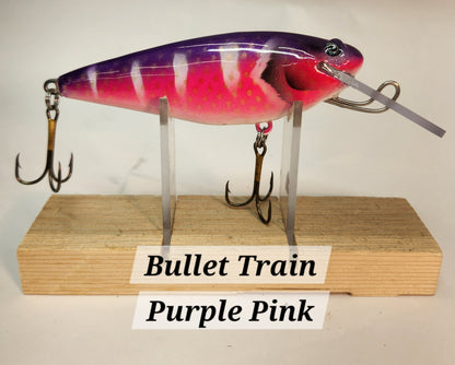 Muskie Train Bullet Train