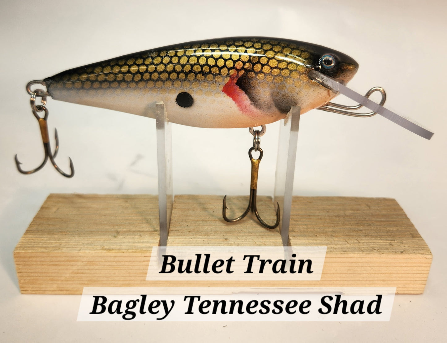 Muskie Train Bullet Train