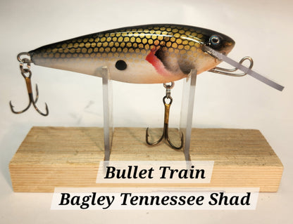 Muskie Train Bullet Train