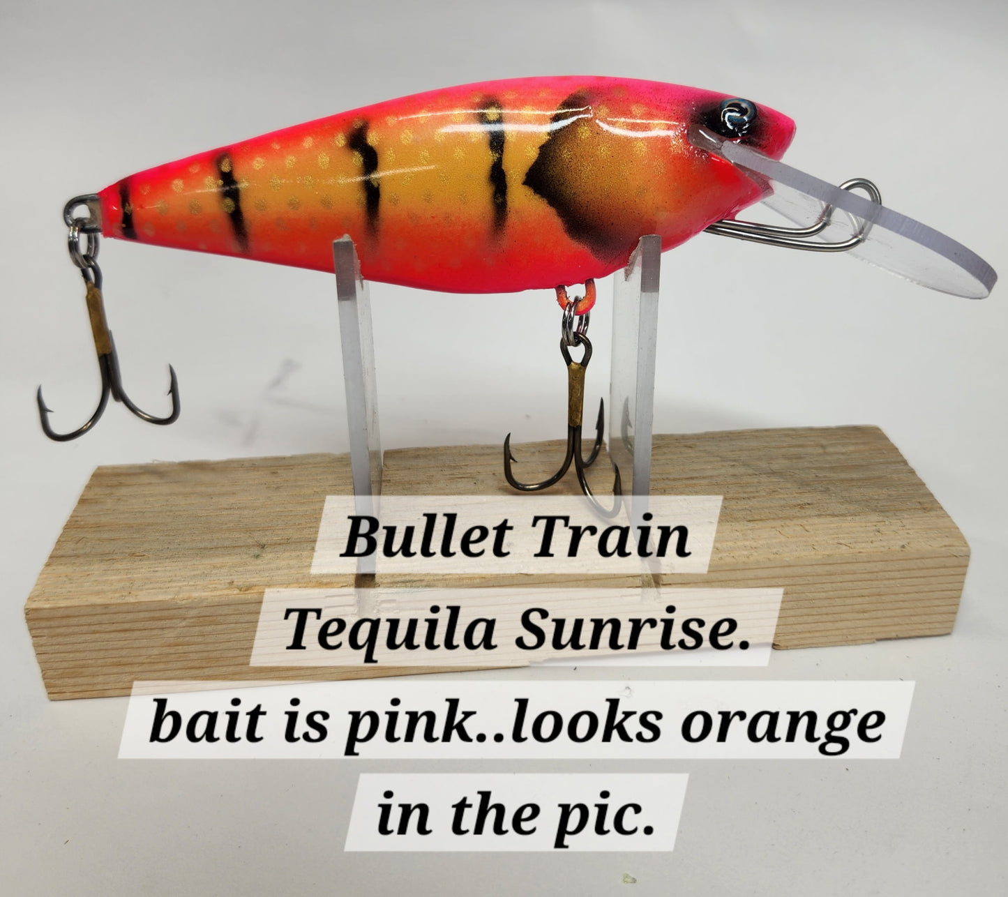 Muskie Train Bullet Train