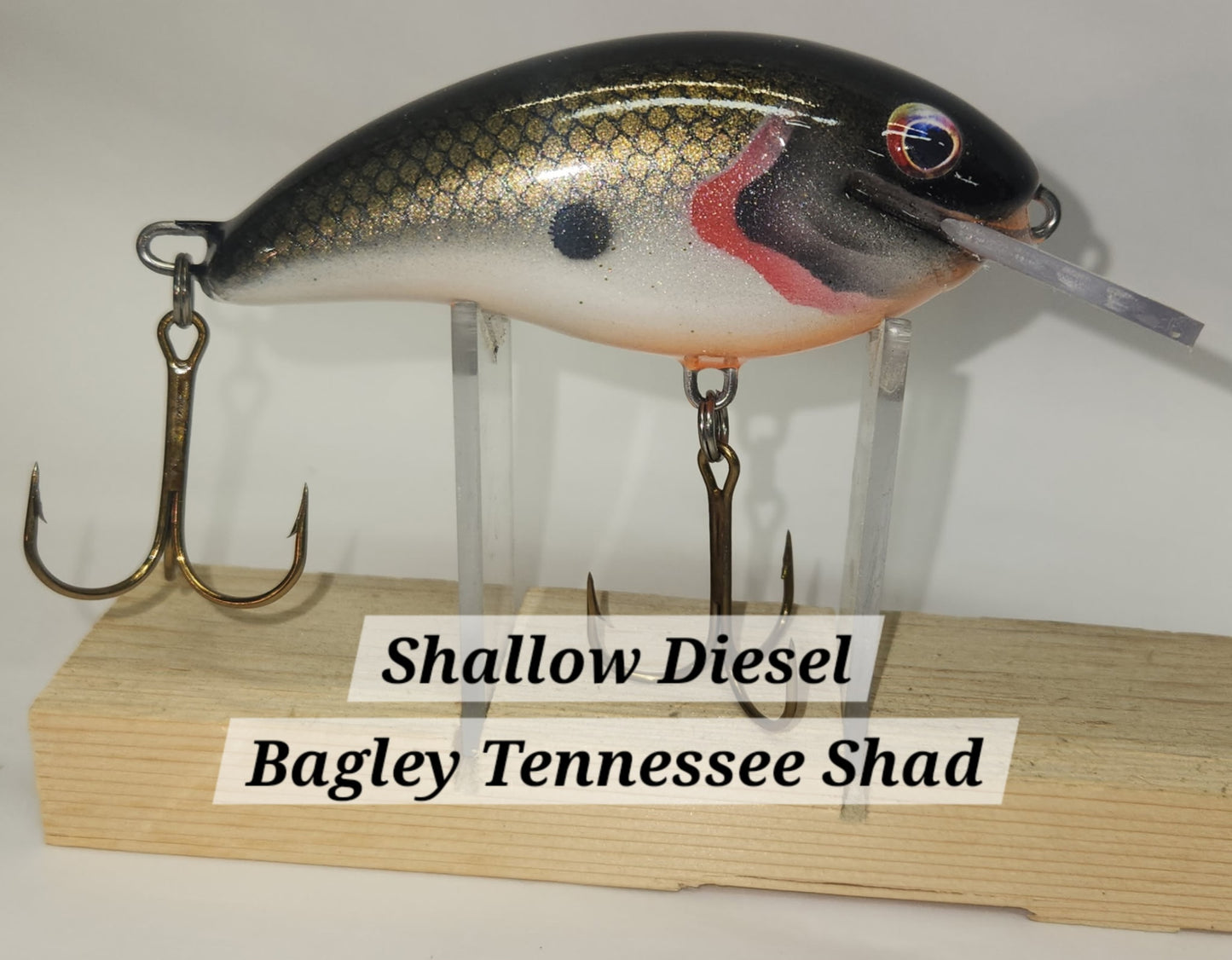 Muskie Train Shallow Diesel