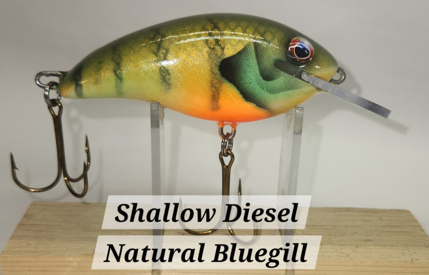 Muskie Train Shallow Diesel