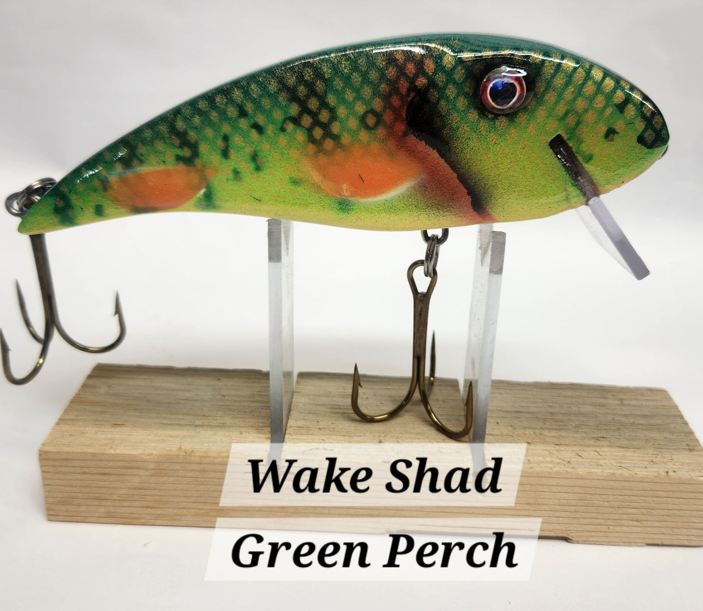 Muskie Train Wake Shad