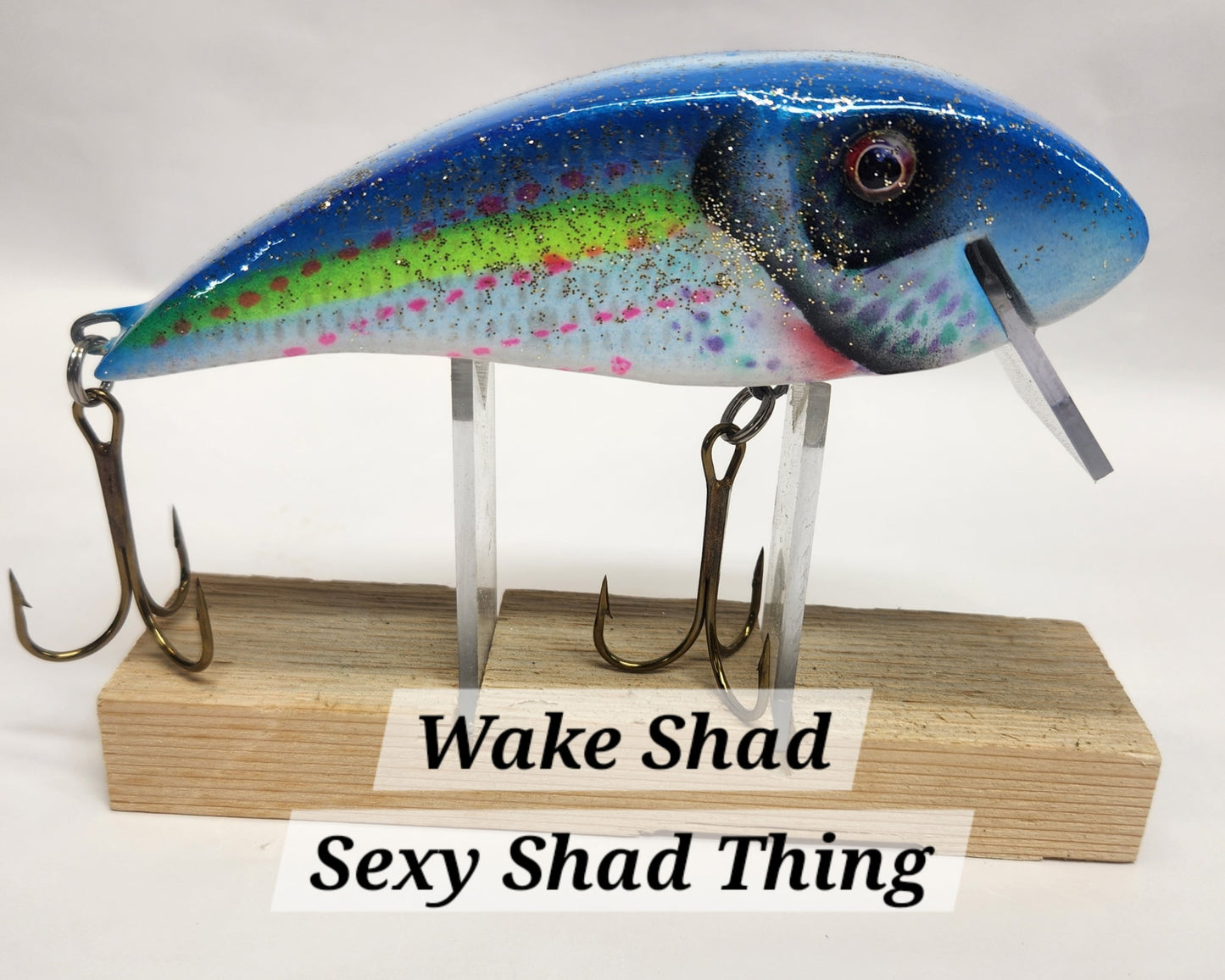 Muskie Train Wake Shad