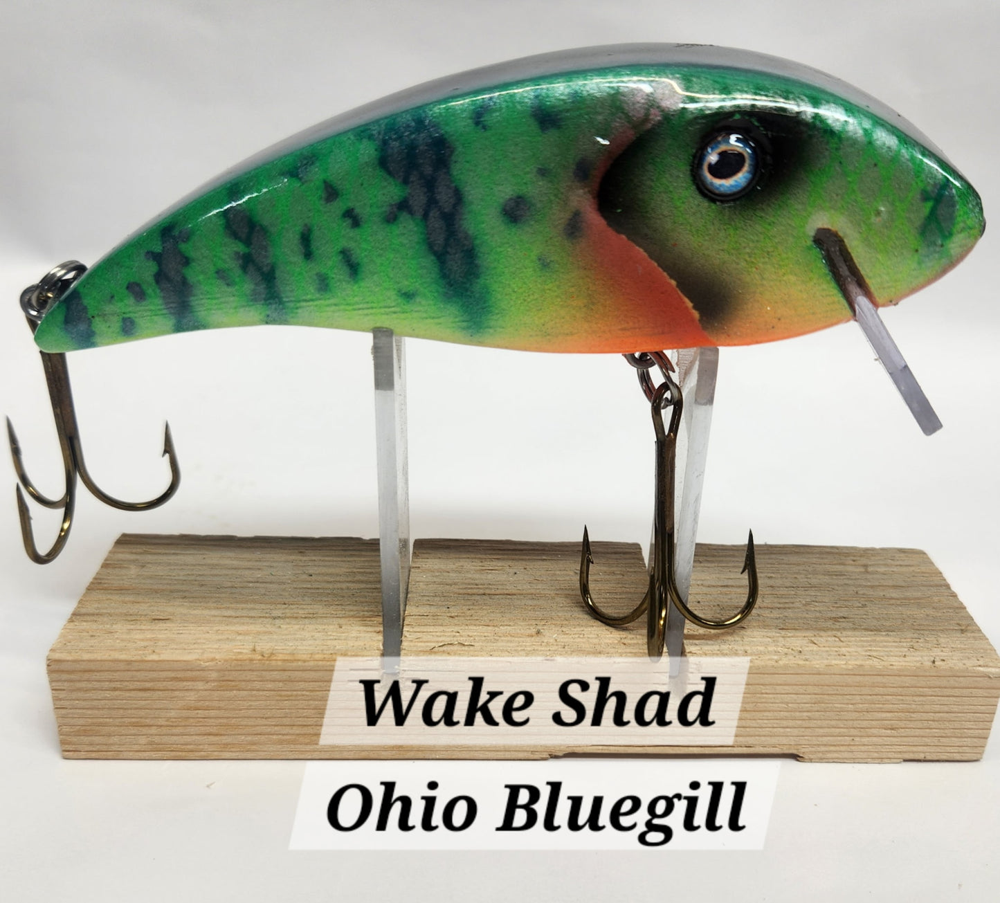Muskie Train Wake Shad