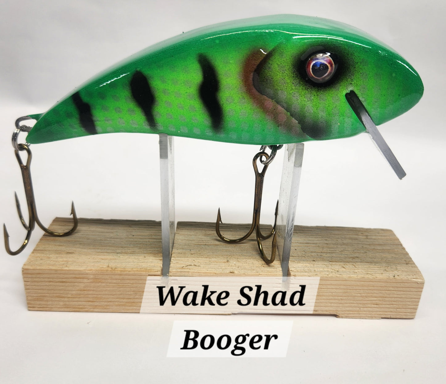 Muskie Train Wake Shad