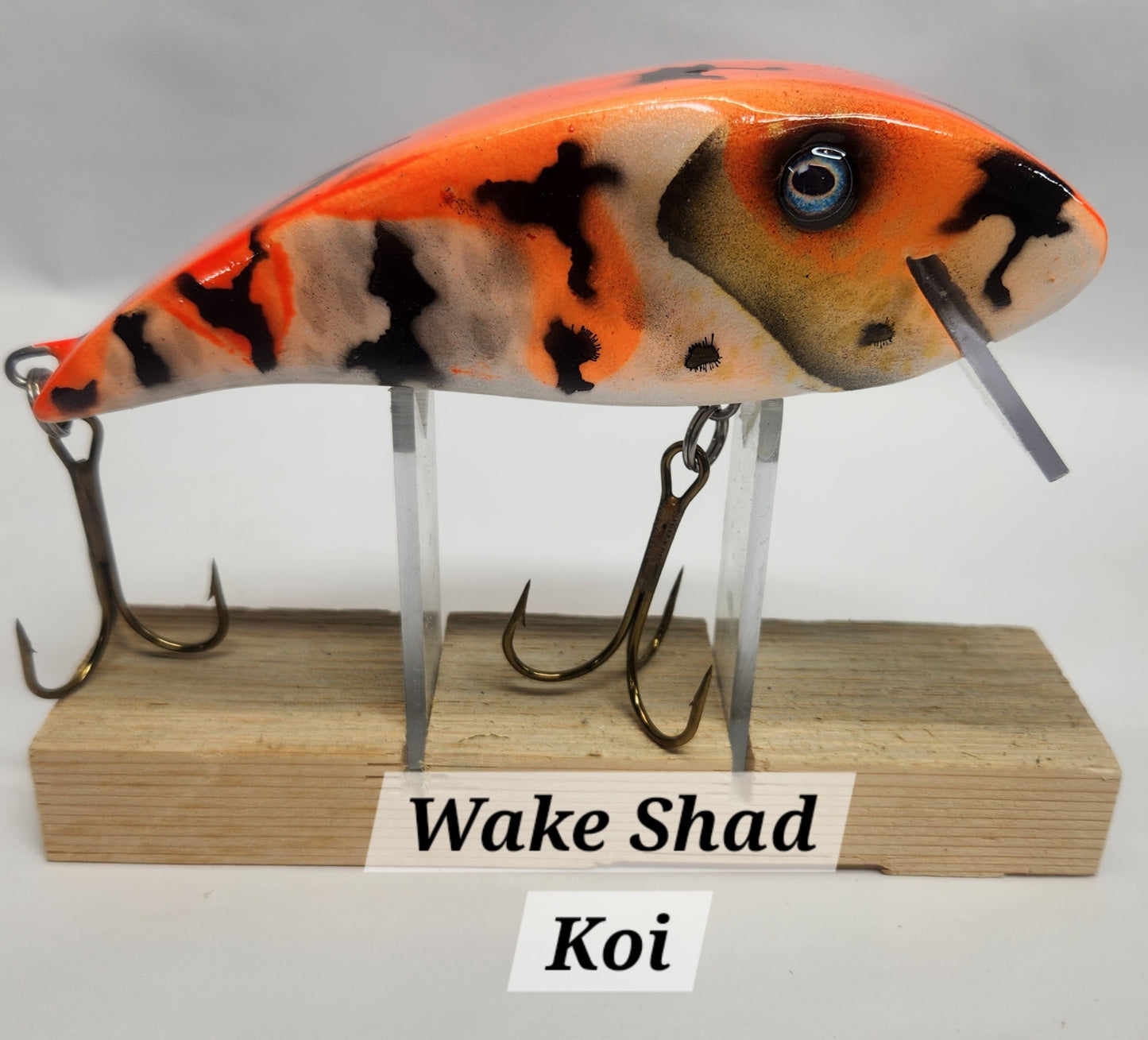 Muskie Train Wake Shad