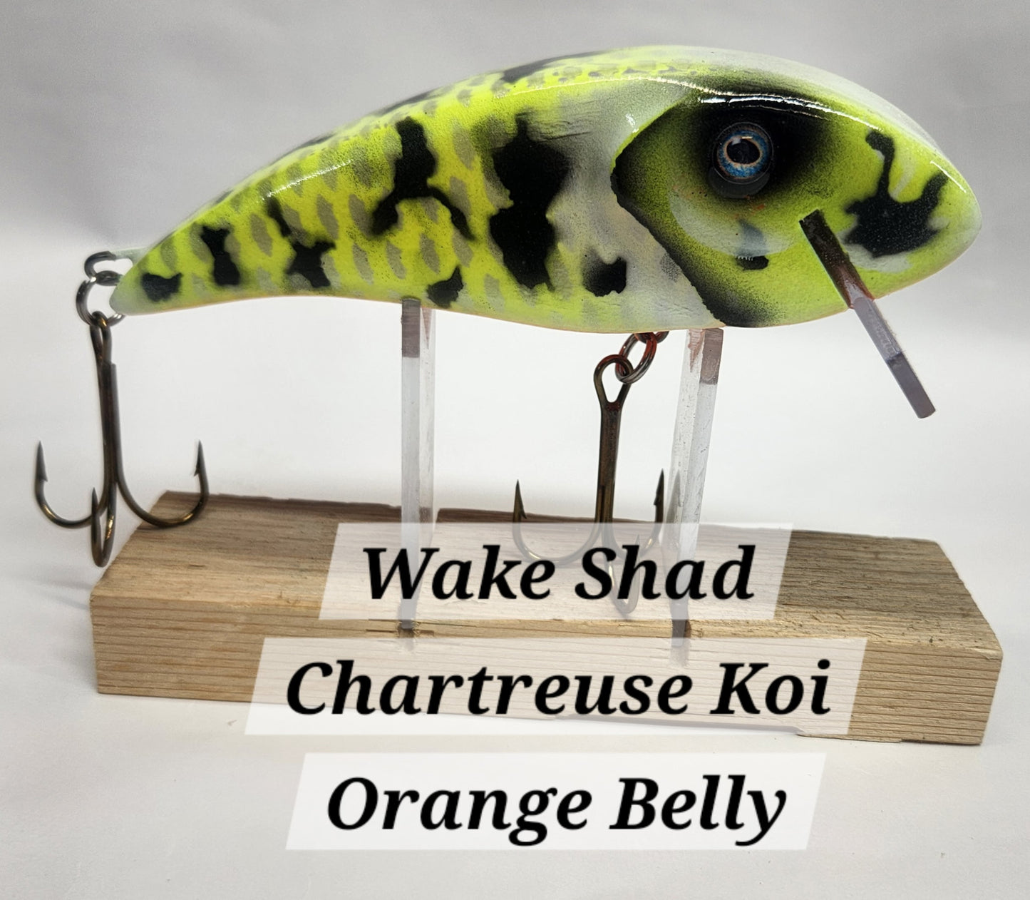Muskie Train Wake Shad