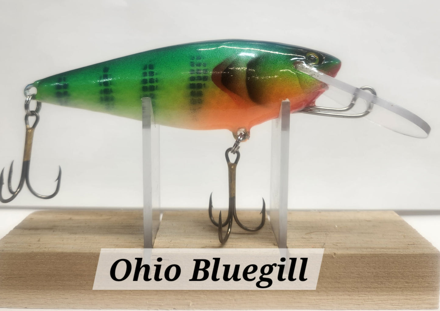 Muskie Train Bullet Train