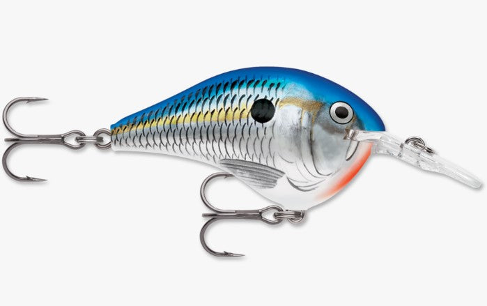 Rapala DT Series (Dives To 8')