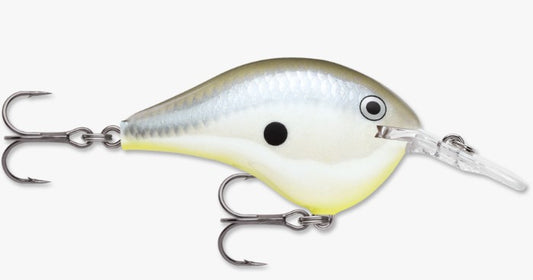 Rapala DT Series (Dives To 8')
