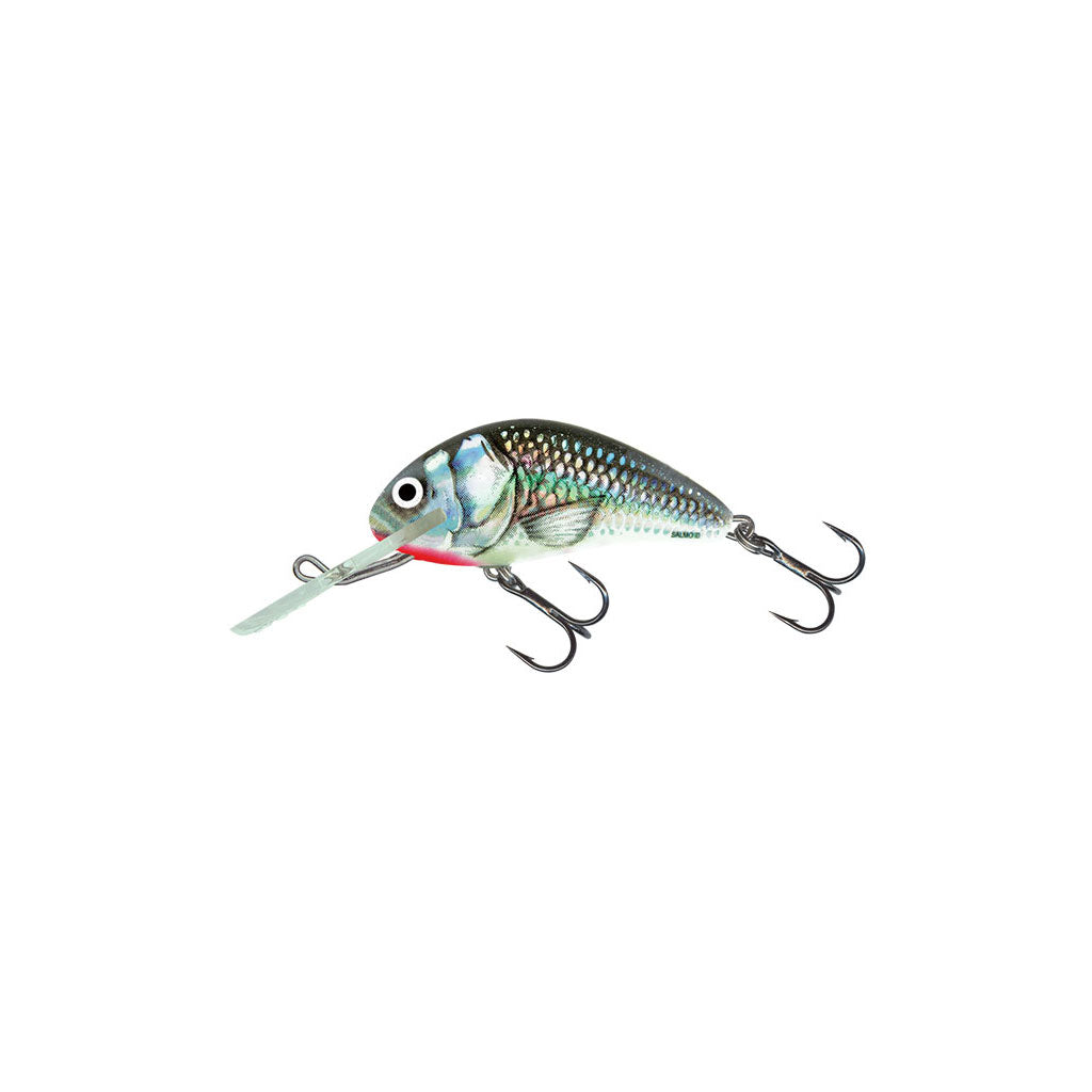 Salmo Hornet (Floating) – Tall Tales Bait & Tackle
