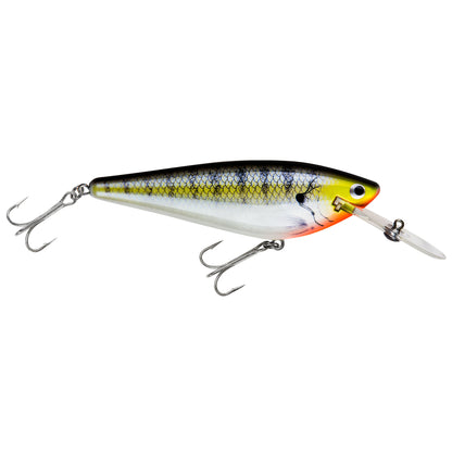 Northland Rumble Monster (Previously Monster Shad)