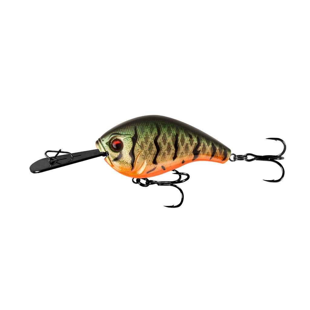 HOT Bait Shop Tall Tales Tackle Fish Tales Bait And Tackle 13